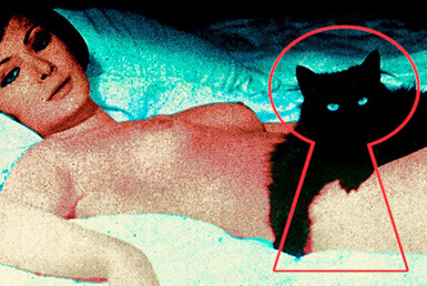 YOUR VICE IS A LOCKED ROOM AND ONLY I HAVE THE&nbsp;KEY